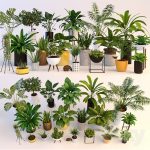 Plant vray 3dsmax – Cây trang trí