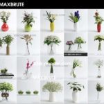 Plant – flowers- Lọ hoa 3ds max