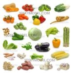 Vegetable_Collection -Download model free- Rau