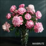 Rose- Hoa hồng 2 – 3dsmax-dowload free