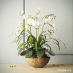 1 flower decor maxbrute