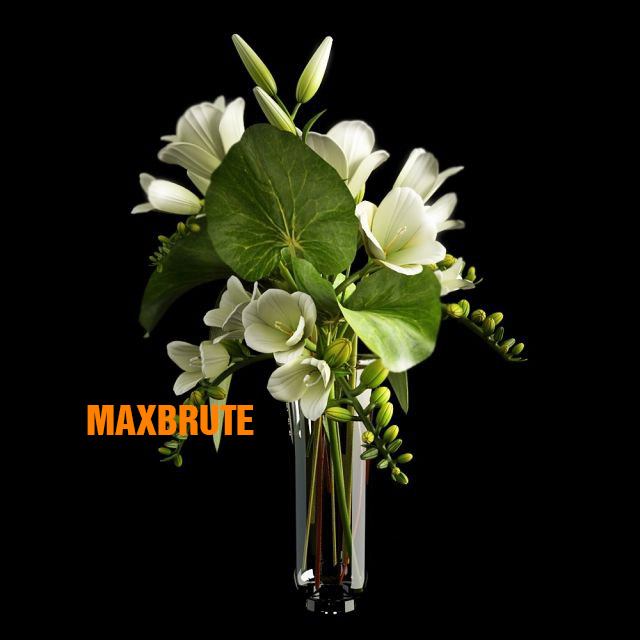 3dSkyHost: FLOWER MAXBRUTE 02