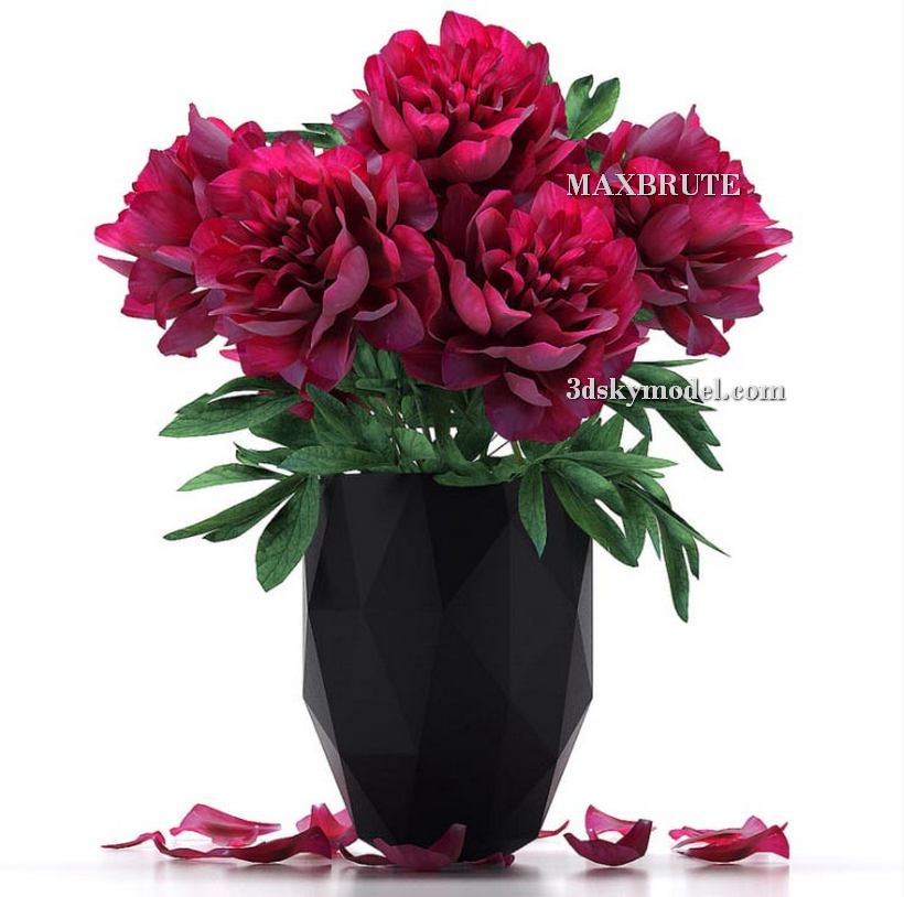 3dSkyHost: Rose flowers 3dsmax 3dmodel Maxbrute