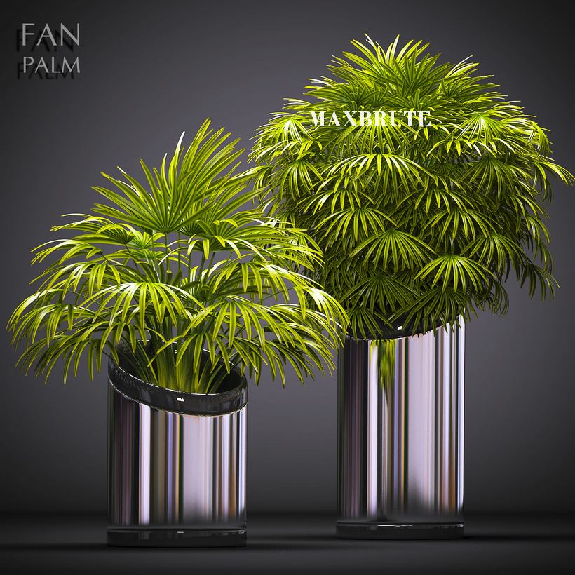 3dSkyHost: PALM PLANTS 3d model