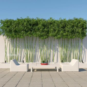 bamboo wall 3dmodel 3dsmax