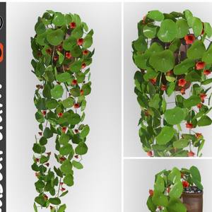 Plant 3dskymodel -Download 3dmodel- Free 3d Models   15