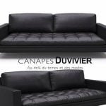 Canapes Duvivier ADONIS sofa 3dmodel  207