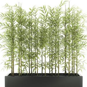 Plant 3dskymodel -Download 3dmodel- Free 3d Models   678