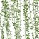 Cây cúc tần 3ds max Vernonia Elliptica