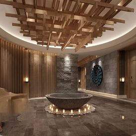 spa photos, SPA interior wood ceiling design, 3D house, Free 3D house  pictures